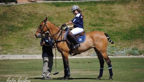 Torneo-Primavera-2013-002