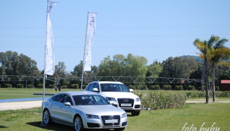 Torneo-Primavera-2013-003