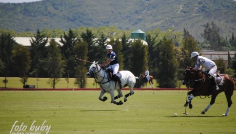 Torneo-Primavera-2013-011