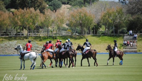 Torneo-Primavera-2013-013