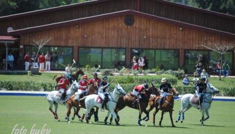Torneo-Primavera-2013-016